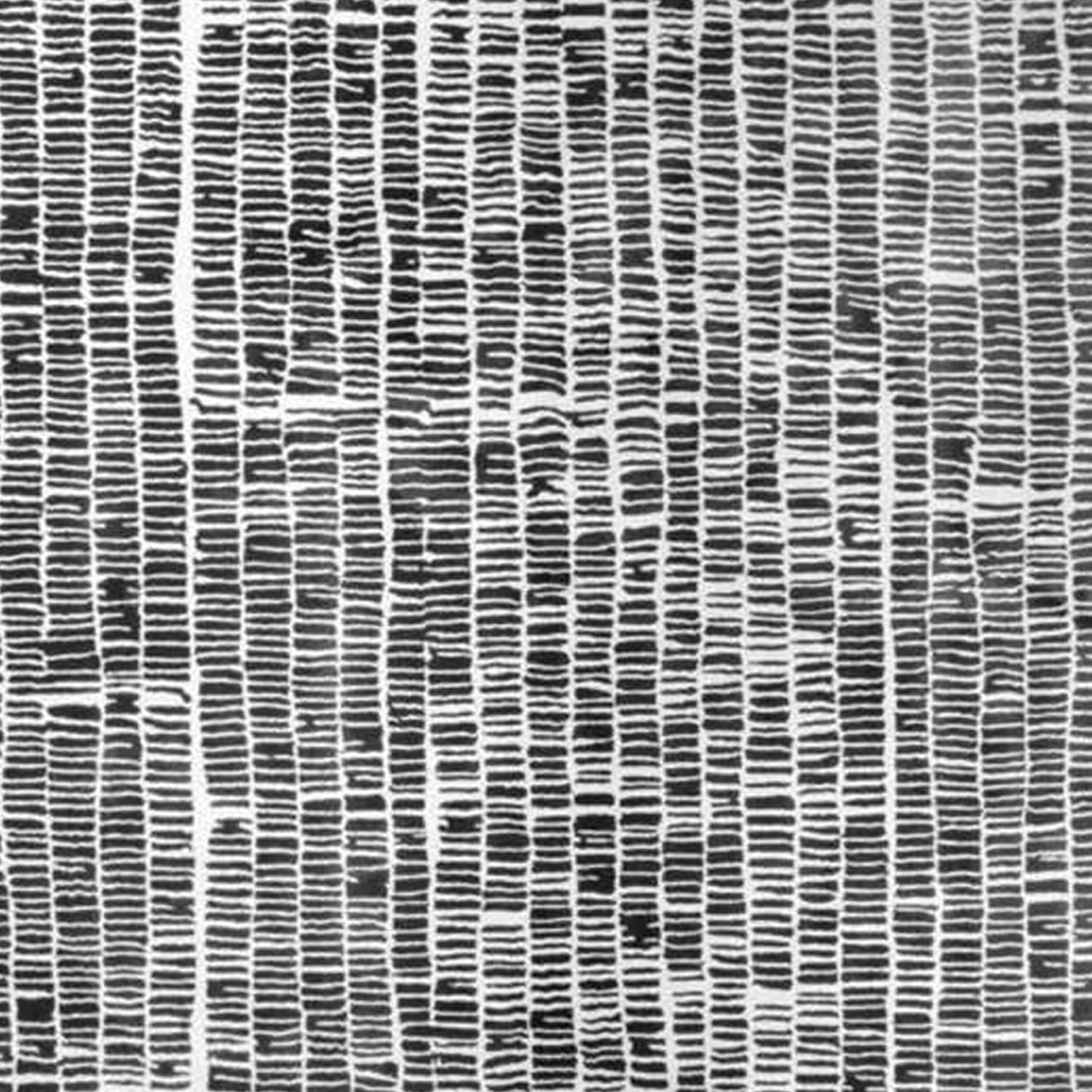 Hand-Tufted Black & White Textured Line Wool Rug – Luxury Modern Minimal Carpet by Room Rituals | Living Room & Bedroom Rug