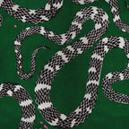Hand-Tufted Green Serpent Art Wool Rug – Luxury Statement Designer Carpet by Room Rituals | Living Room & Lounge Rug